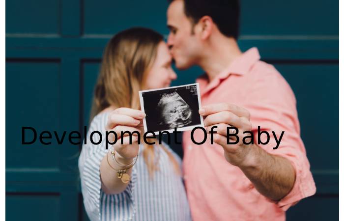 Development Of Baby