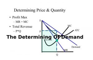 The Determining Of Demand