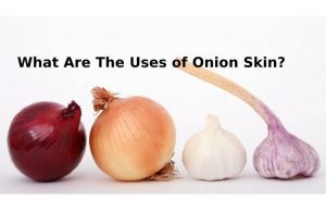 What Are The Uses of Onion Skin_